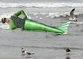beached jolly green vagiant